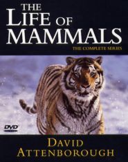 No Image for THE LIFE OF MAMMALS DISC 2