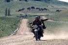 No Image for THE MOTORCYCLE DIARIES