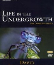 No Image for LIFE IN THE UNDERGROWTH DISC 1