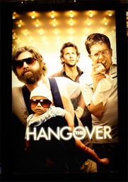 No Image for THE HANGOVER
