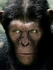 No Image for RISE OF THE PLANET OF THE APES