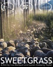 No Image for SWEETGRASS