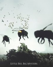 No Image for VANISHING OF THE BEES