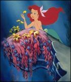 No Image for THE LITTLE MERMAID (DISNEY)