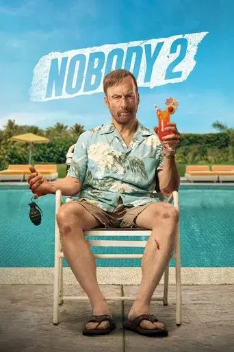 movie poster for NOBODY 2