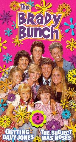 movie poster for THE BRADY BUNCH