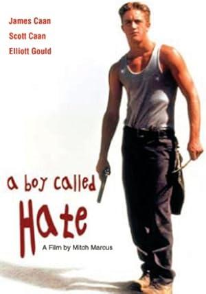 movie poster for A BOY CALLED HATE