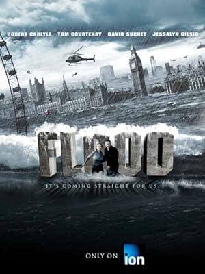 movie poster for FLOOD