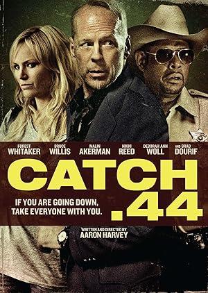 movie poster for CATCH .44