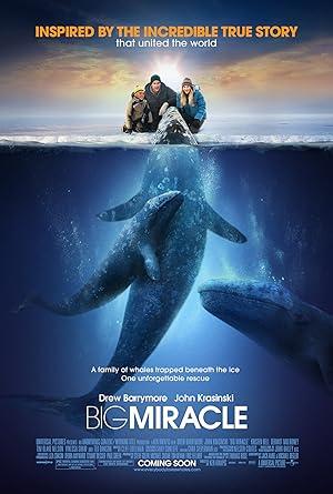 movie poster for BIG MIRACLE