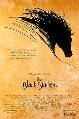 movie poster for THE BLACK STALLION