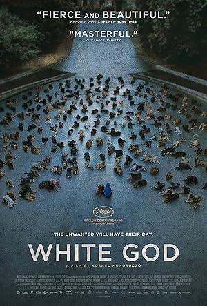 movie poster for WHITE GOD