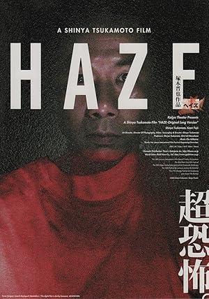 movie poster for HAZE