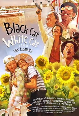 movie poster for BLACK CAT WHITE CAT