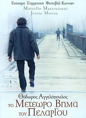 movie poster for THE SUSPENDED STEP OF THE STORK