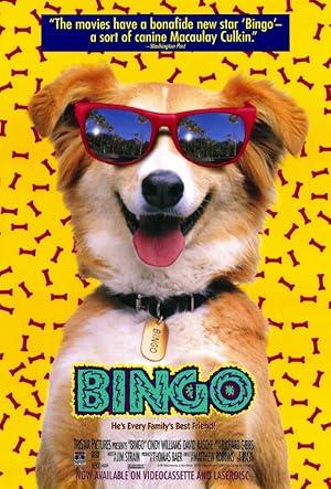 movie poster for BINGO