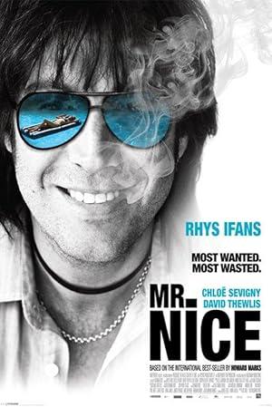 movie poster for MR NICE
