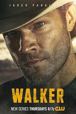 movie poster for WALKER