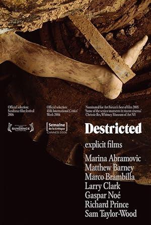 movie poster for DESTRICTED