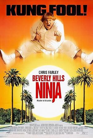 movie poster for BEVERLY HILLS NINJA