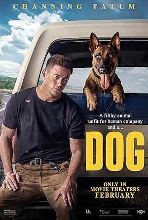 movie poster for DOG