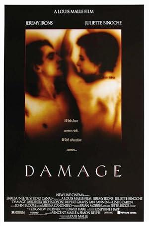 movie poster for DAMAGE