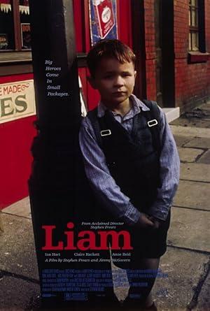 movie poster for LIAM