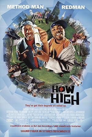 movie poster for HOW HIGH