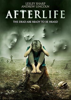 movie poster for AFTERLIFE