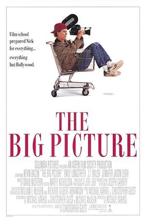 movie poster for THE BIG PICTURE