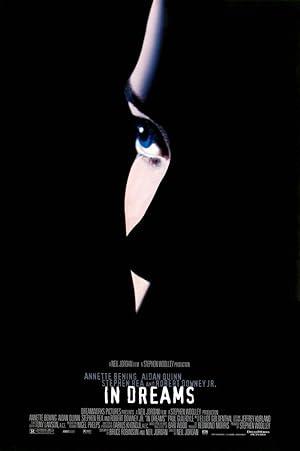 movie poster for IN DREAMS