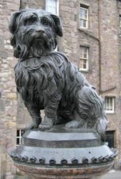 No Image for THE ADVENTURES OF GREYFRIARS BOBBY