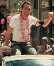 No Image for THE TIMES OF HARVEY MILK