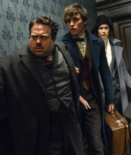 No Image for FANTASTIC BEASTS AND WHERE TO FIND THEM