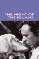 No Image for THE NIGHT OF THE IGUANA
